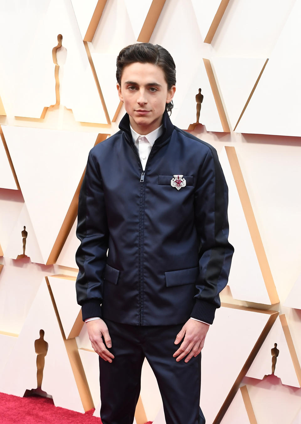 HOLLYWOOD, CALIFORNIA - FEBRUARY 09: Timothée Chalamet attends the 92nd Annual Academy Awards at Hollywood and Highland on February 09, 2020 in Hollywood, California. (Photo by Steve Granitz/WireImage)