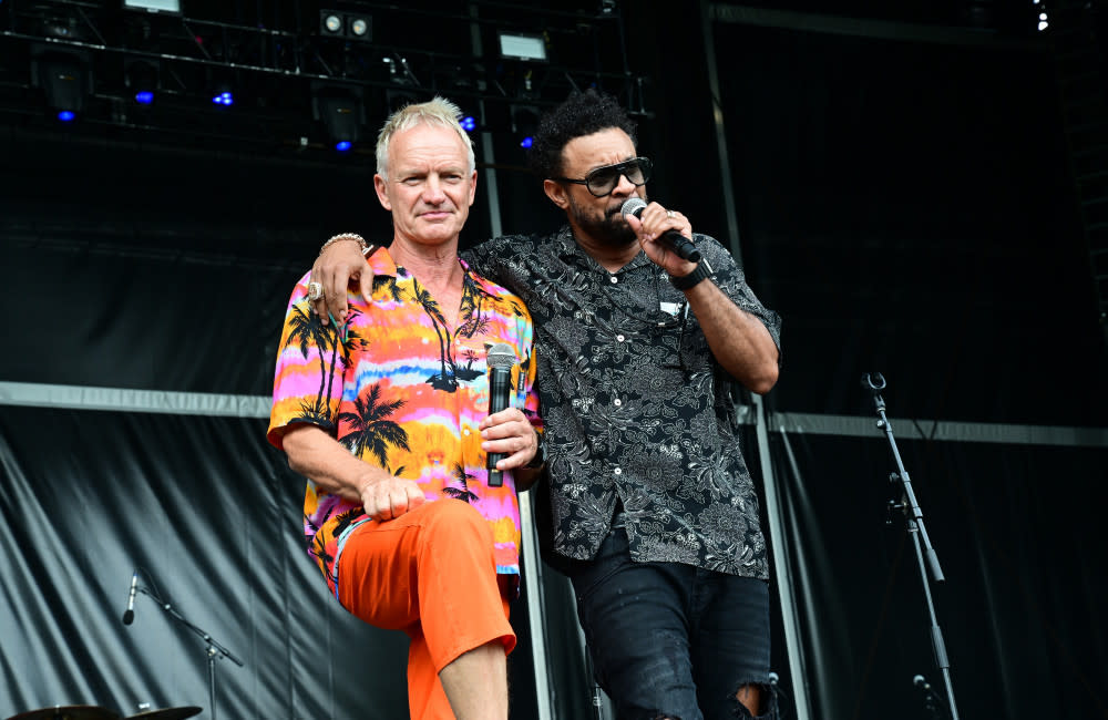 Sting's love of brown sauce has been revealed by his friend Shaggy credit:Bang Showbiz