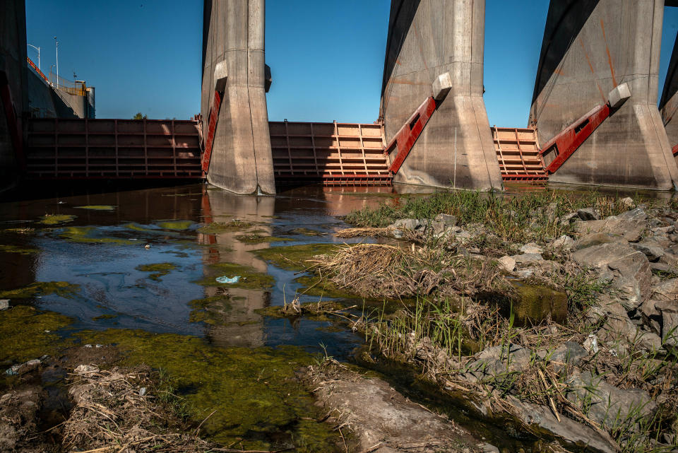 Image: The area near a reservoir in Baja California, Mexico, April 2021. (Alejandro Cegarra)