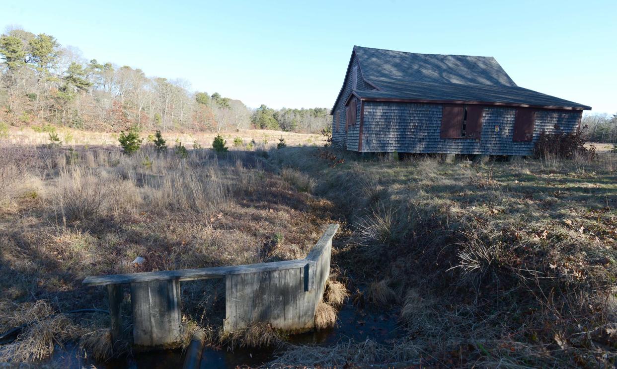 An old cranberry barn on the Chop Chaque cranberry bogs in Mashpee which sits next to Santuit Pond. Steve Heaslip/Cape Cod Times