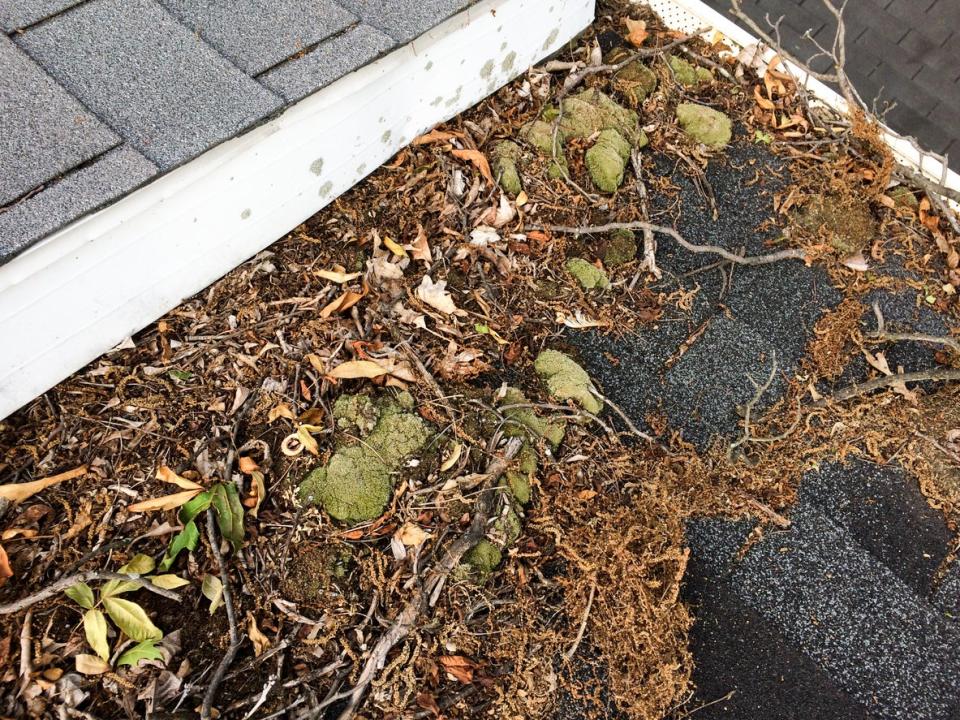 pile of leaves on a roof top