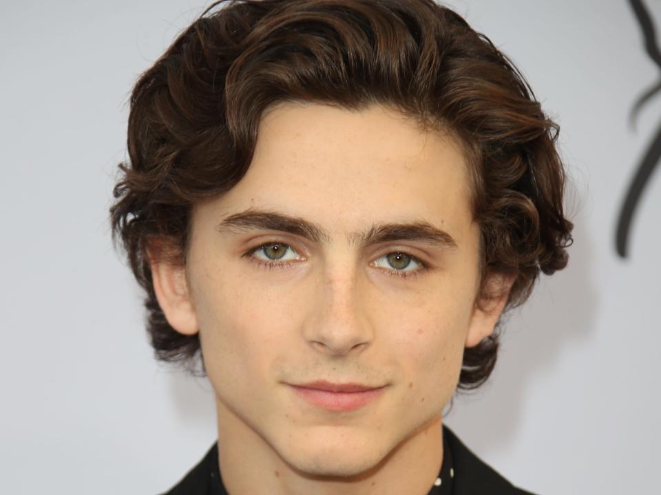 Timothee Chalamet is my celebrity crush.