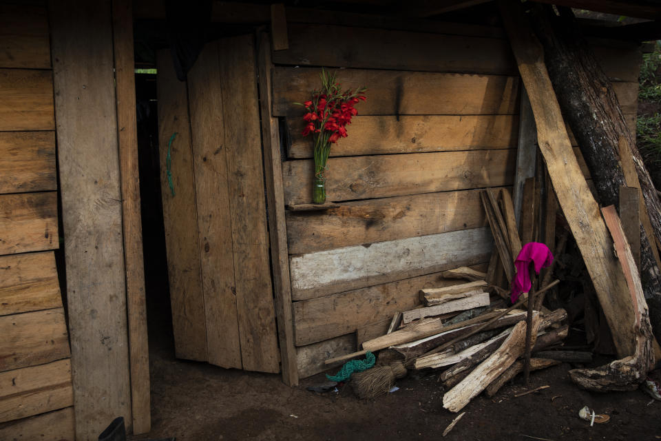 A bouquet of gladiolas decorate the doorway of a home in the makeshift settlement Nuevo Queja, Guatemala, Friday, July 9, 2021. Residents shacks are constructed with zinc sheets donated by a priest and wooden planks made from pine trees the villagers cut down. (AP Photo/Rodrigo Abd)