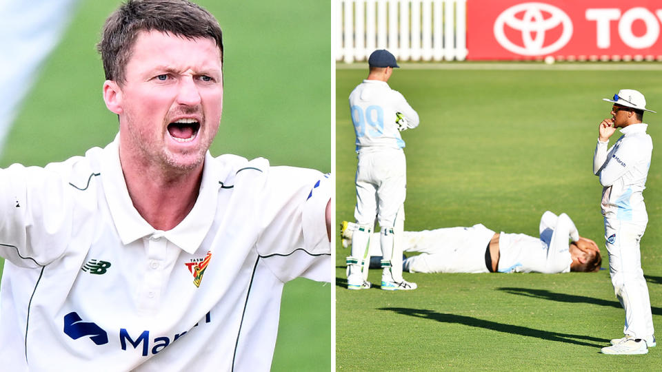 Jackson Bird, pictured here alongside players from NSW in the Sheffield Shield.