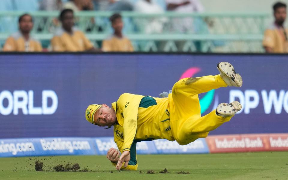 David Warner holds on