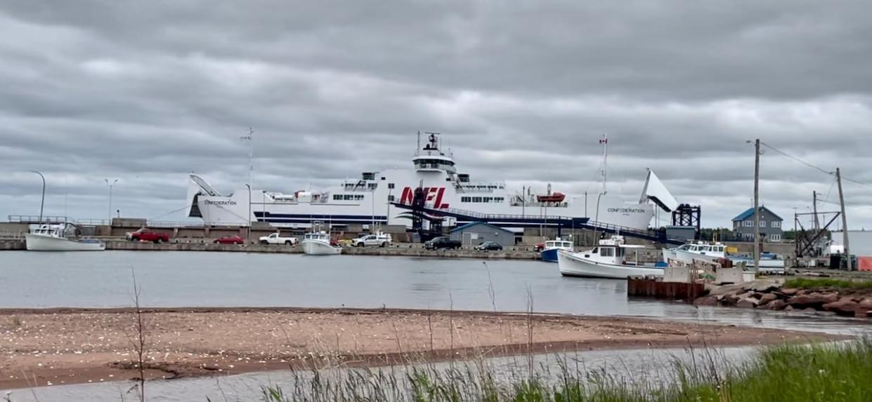Ferry service between Prince Edward Island and Nova Scotia was cancelled for weeks at the start of the 2023 tourism season because of mechanical issues with the Confederation.  (Sheehan Desjardins/CBC - image credit)