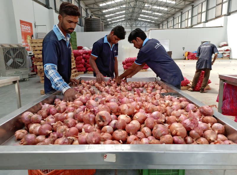 Workers of a retail chain sort onions at Manchar village in Pune