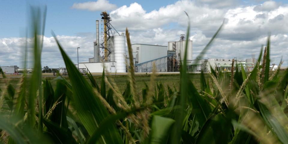 A corn field by an ethanol plant in Nevada, Iowa