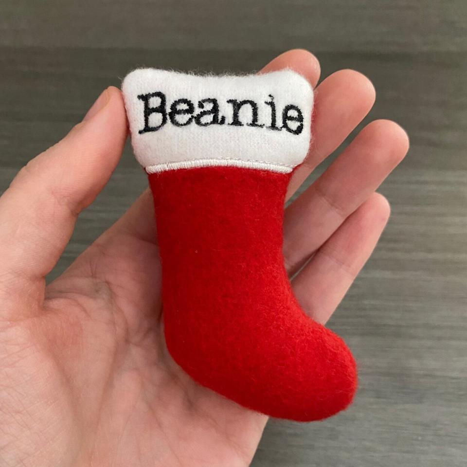 Hand holding a Personalized Stocking Christmas Cat Toy