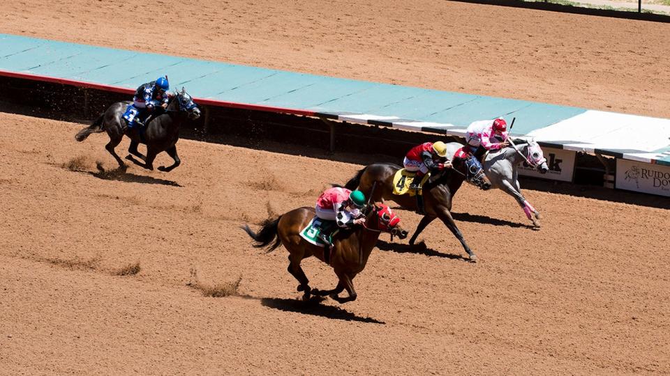 The West Texas A&M University Alumni Association will host two major parties this summer to reconnect with Buffs across the region, with a WT Alumni Night at Hodgetown on June 28 and a special weekend July 21 and 22 at Ruidoso Downs in Ruidoso, New Mexico.