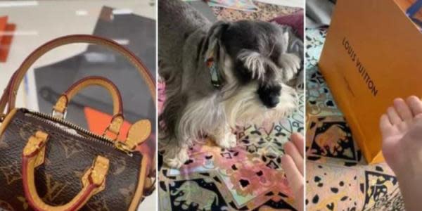 Viral: Joven compra bolso Louis Vuitton para heces de perro en 18 mil pesos