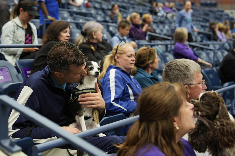 A handler kisses his dog while watching an agility competition during the 148th Westminster Kennel Club Dog show, Saturday, May 11, 2024, at the USTA Billie Jean King National Tennis Center in New York. (AP Photo/Julia Nikhinson)