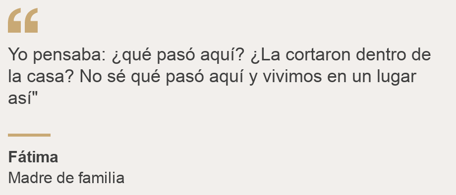 "Yo pensaba: ¿qué pasó aquí? ¿La cortaron dentro de la casa? No sé qué pasó aquí y vivimos en un lugar así"", Source: Fátima, Source description: Madre de familia , Image: 