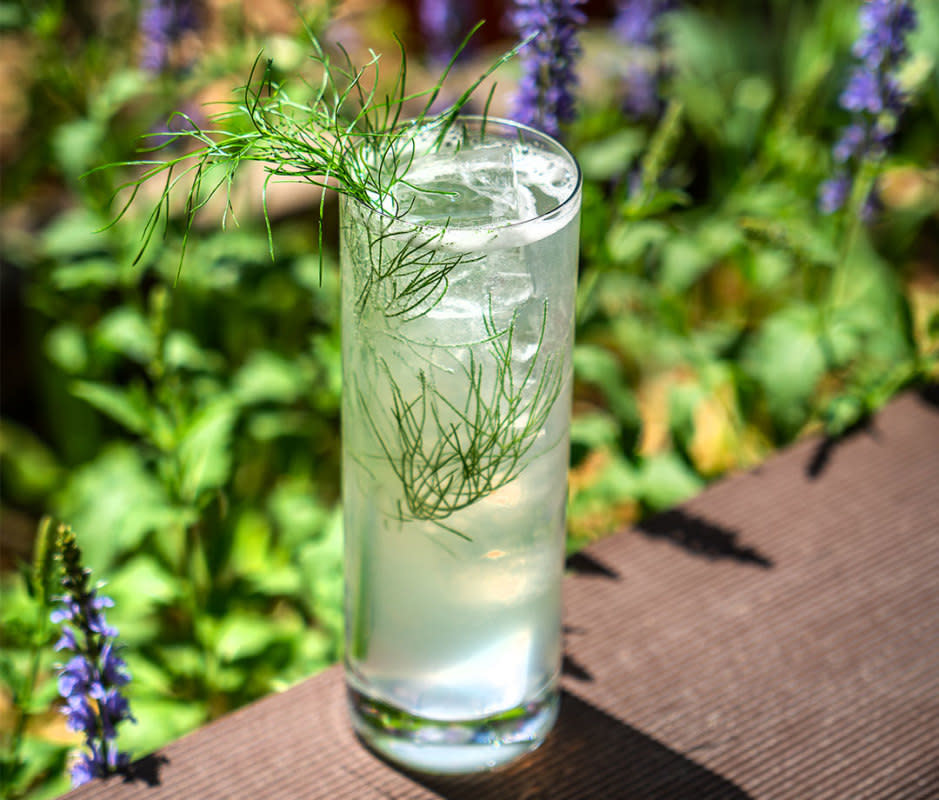 <p>Noah Fecks</p><p>The Fennel is a mix between a margarita and a paloma. "Fennel and grapefruit go really well together, with the fennel adding a lot of earthy, savoriness to this classic,” says Trey Bliss, beverage director at <a href="https://www.olmstednyc.com/" rel="nofollow noopener" target="_blank" data-ylk="slk:Baxtrom Hospitality;elm:context_link;itc:0;sec:content-canvas" class="link ">Baxtrom Hospitality</a>. "Suze also brings herbal bitterness to balance the sweetness of the grapefruit. Keep the lime to make sure the grapefruit really pops with citrus brightness."</p>Ingredients<ul><li>1.5 oz <a href="https://clicks.trx-hub.com/xid/arena_0b263_mensjournal?event_type=click&q=https%3A%2F%2Fgo.skimresources.com%3Fid%3D106246X1712071%26xs%3D1%26xcust%3DMj-besttequilacocktails-aclausen-0224%26url%3Dhttps%3A%2F%2Fwww.totalwine.com%2Fspirits%2Ftequila%2Fblancosilver%2Fpueblo-viejo-blanco-tequila%2Fp%2F100996750&p=https%3A%2F%2Fwww.mensjournal.com%2Ffood-drink%2Ftequila-cocktails%3Fpartner%3Dyahoo&ContentId=ci02d58db58000278d&author=Austa%20Somvichian-Clausen&page_type=Article%20Page&partner=yahoo&section=reposado%20tequila&site_id=cs02b334a3f0002583&mc=www.mensjournal.com" rel="nofollow noopener" target="_blank" data-ylk="slk:Pueblo Viejo Blanco Tequila;elm:context_link;itc:0;sec:content-canvas" class="link ">Pueblo Viejo Blanco Tequila</a></li><li> 0.25 oz <a href="https://clicks.trx-hub.com/xid/arena_0b263_mensjournal?event_type=click&q=https%3A%2F%2Fgo.skimresources.com%3Fid%3D106246X1712071%26xs%3D1%26xcust%3DMj-besttequilacocktails-aclausen-0224%26url%3Dhttps%3A%2F%2Fwww.wine.com%2Fproduct%2Fsuze-suze-aperitif%2F526644&p=https%3A%2F%2Fwww.mensjournal.com%2Ffood-drink%2Ftequila-cocktails%3Fpartner%3Dyahoo&ContentId=ci02d58db58000278d&author=Austa%20Somvichian-Clausen&page_type=Article%20Page&partner=yahoo&section=reposado%20tequila&site_id=cs02b334a3f0002583&mc=www.mensjournal.com" rel="nofollow noopener" target="_blank" data-ylk="slk:Suze;elm:context_link;itc:0;sec:content-canvas" class="link ">Suze</a></li><li> 0.75 oz fennel syrup*</li><li> 0.25 oz lime juice</li><li>Pink grapefruit, sliced, for garnish</li><li>Fennel fronds, for garnish</li></ul>Instructions<ol><li>Add all ingredients, except garnish, to a shaker with ice and shake vigorously.</li><li>Strain over fresh ice in a Collins glass.</li><li>Garnish with fennel fronds or a half moon slice of grapefruit.</li> </ol>For the Fennel SyrupIngredients<ul><li>35g fennel seeds</li><li> 1,000g sugar</li><li> 1,000g water</li></ul><p><strong>Directions:</strong><br> 1. Bring all ingredients to a boil, then let steep off heat for 24 hours. <br> 2. Strain and refrigerate.</p>
