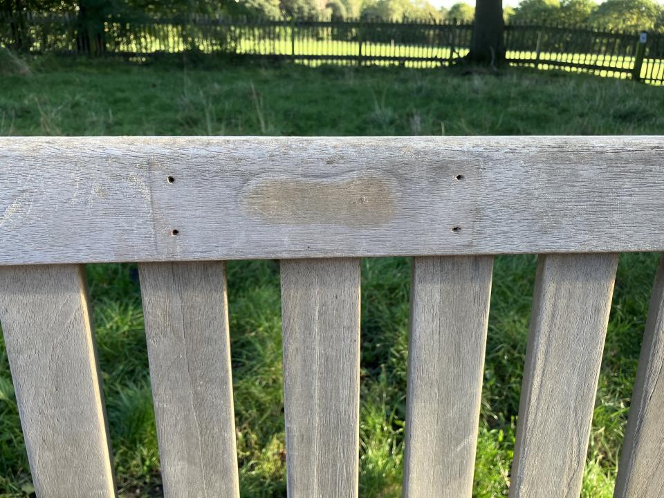 The After Life bench on Hampstead Heath now has a bare space where the plaque once stood. (SWNS)
