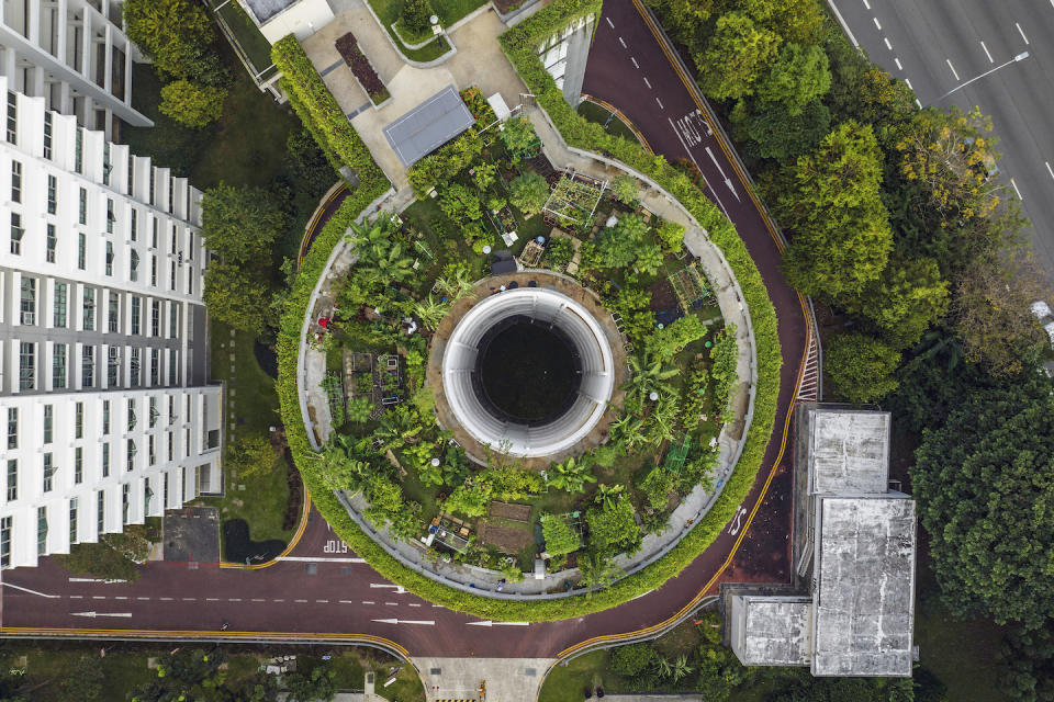 Urban garden on the roof of a carpark in Singapore (Photo: Getty Images)