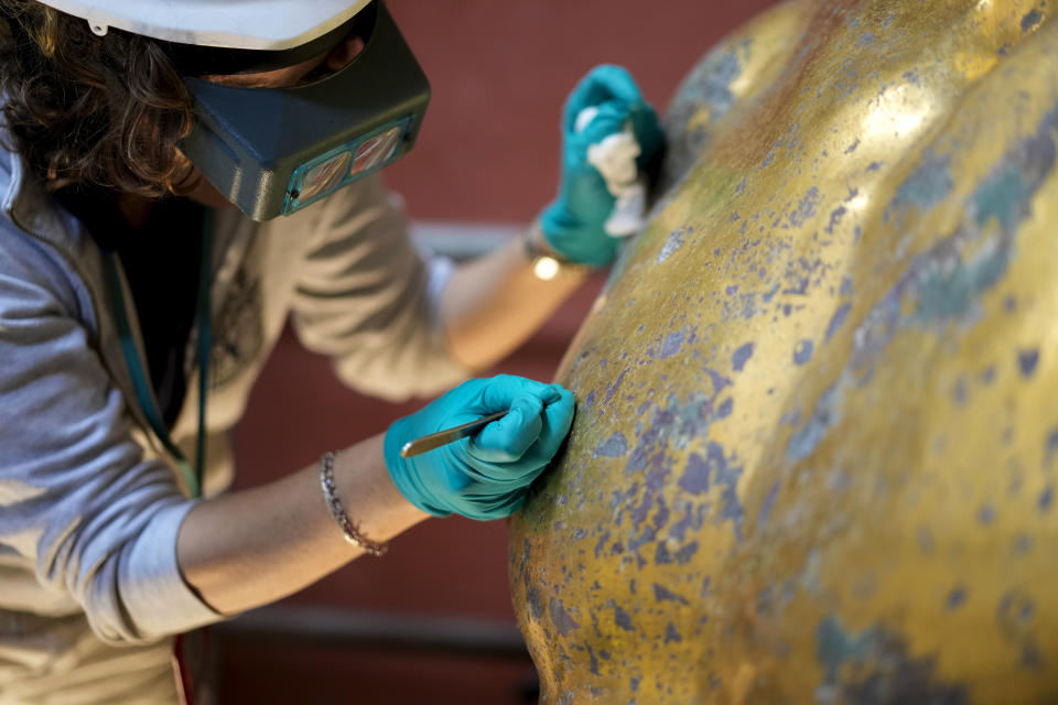 Vatican Museum restorer Alice Baltera works on restoring the bronze Hercules statue, in the Round Hall of the Vatican Museums, Thursday, May 11, 2023. Work will continue until December to reveal the 4-meter- (13-foot-) tall Hercules, believed to have stood in ancient Rome’s Pompey Theater, to its original golden sheen. The discovery of the gilded bronze in 1864 during work on a banker’s villa near Piazza dei Fiori made global headlines. (AP Photo/Andrew Medichini)