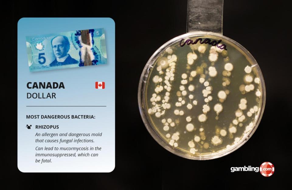 The study revealed that the Canadian dollar was the dirtiest and most dangerous banknote in the world, with 209 microbe colonies discovered. Picture: gambling.com