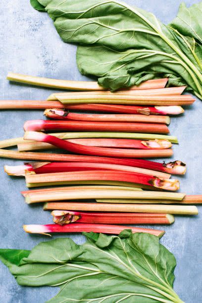 spring fruits rhubarb