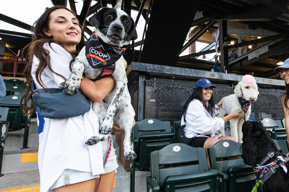Rachel Southerland and Bruw stands next to Kennedi Watts and Ryder as Dodger fans bring their dogs to the ballpark during "Bark in the Park" as the Oklahoma City Dodgers play the Salt Lake Bees at Chickasaw Bricktown Ballpark in Oklahoma City on Wednesday, Sept. 28, 2022.