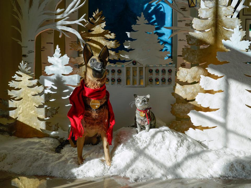Depictions of White House pets Willow and Commander in the East Colonnade.