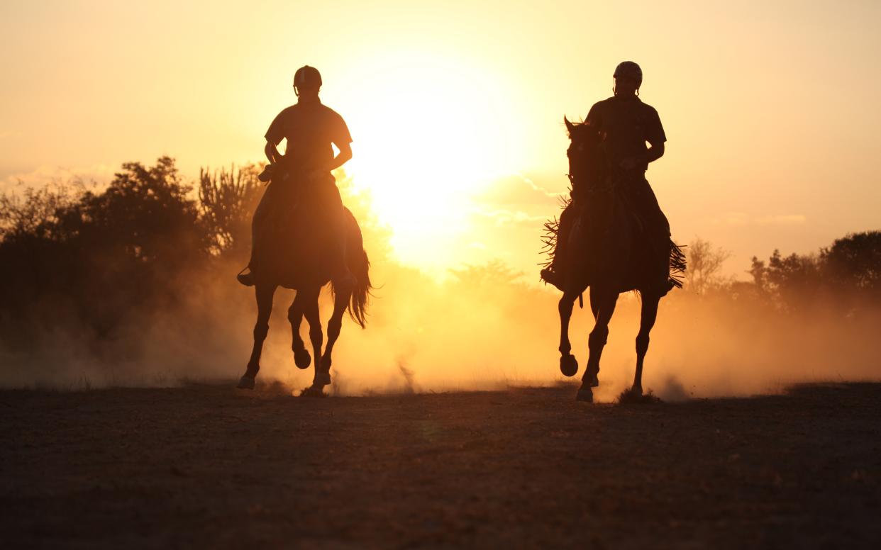 You can get a lot closer to the action on a horse than in a safari vehicle