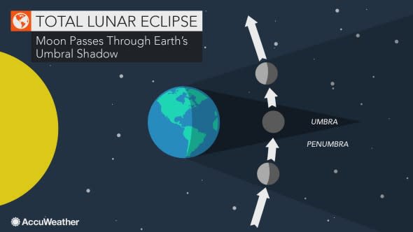 evergreen eclipse