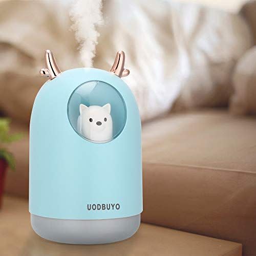 37) Portable Cool Mist Humidifier