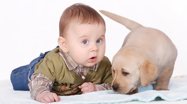 baby and dog