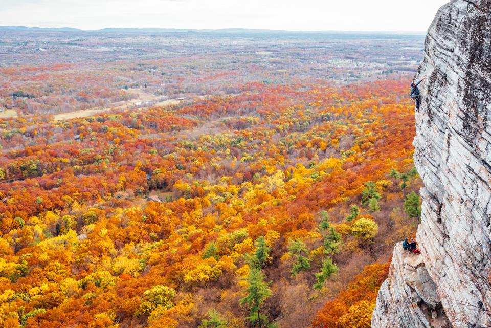 All the views of fall foliage you need to see.