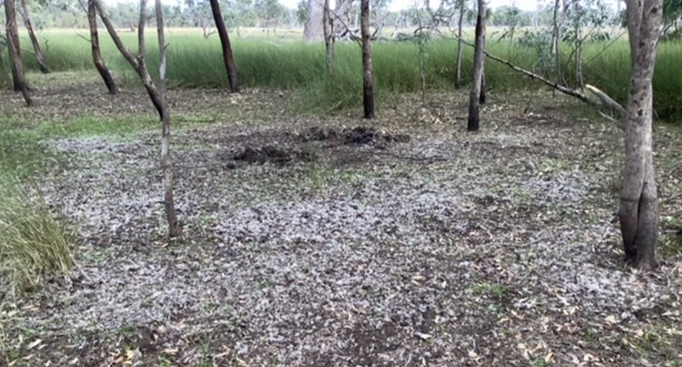 The pit can be seen in the distance at Lake Koynock. There are a few trees and some reeds in the background.