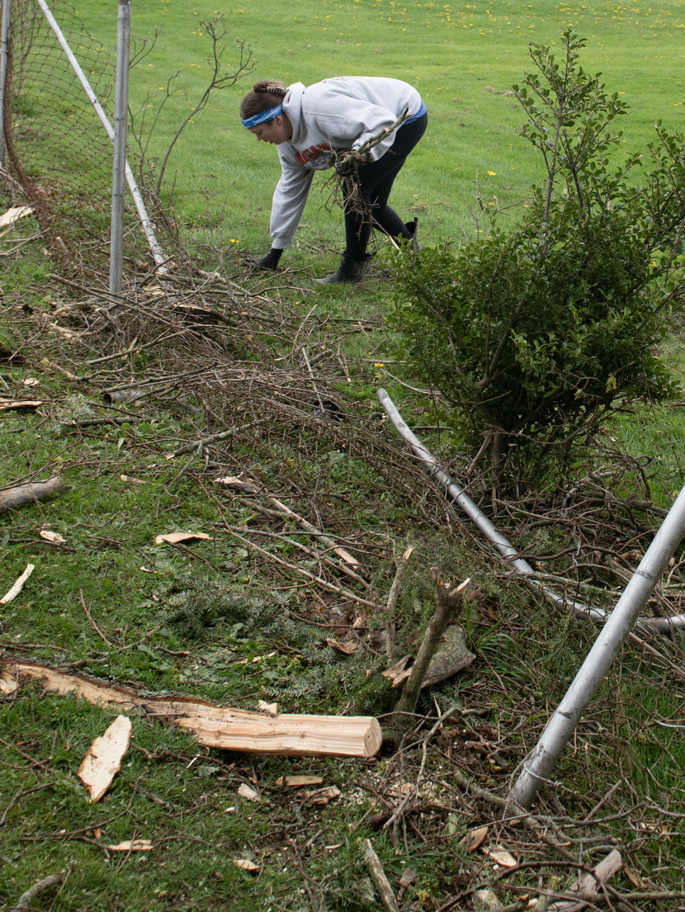 Windham homeowner Cassie Hickman helps clear debris from a fallen tree Friday, April 19, 2024, two days after an EF-1 tornado touched down at Windham Cemetery.