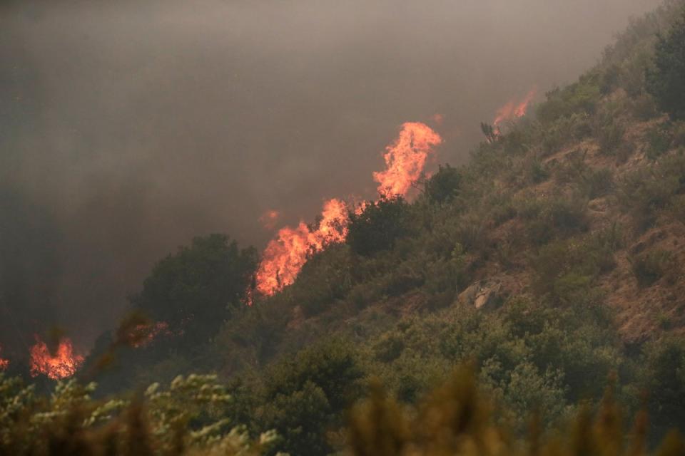 A fire burns a hillside during the forest fires affecting Vina del Mar, Valparaiso Region, Chile (EPA)