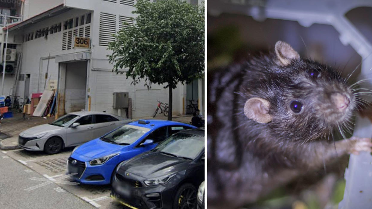 Spotting rats has become the norm at Block 306, Ubi Avenue 1. (Images: Google Street View, Getty Images)