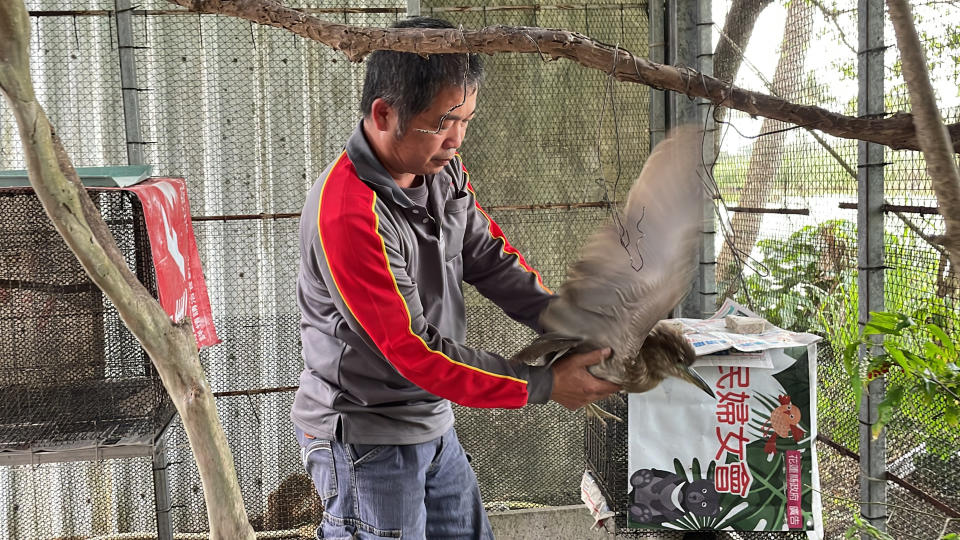 花蓮修車廠師傅賴俊聰是花蓮野鳥學會的「黑手鳥爸」，照料傷鳥12年，累積豐富救援經驗，收到傷鳥後會先評估傷勢，安排後續治療及照顧，直到鳥類復原後野放。
中央社