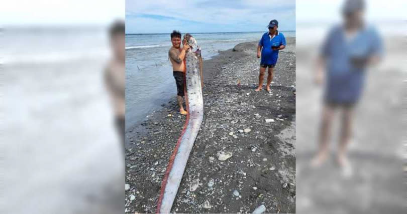 林姓釣客在太麻里海灘釣到1條6公尺長的地震魚，現場釣客一片驚呼。（圖／民眾提供）