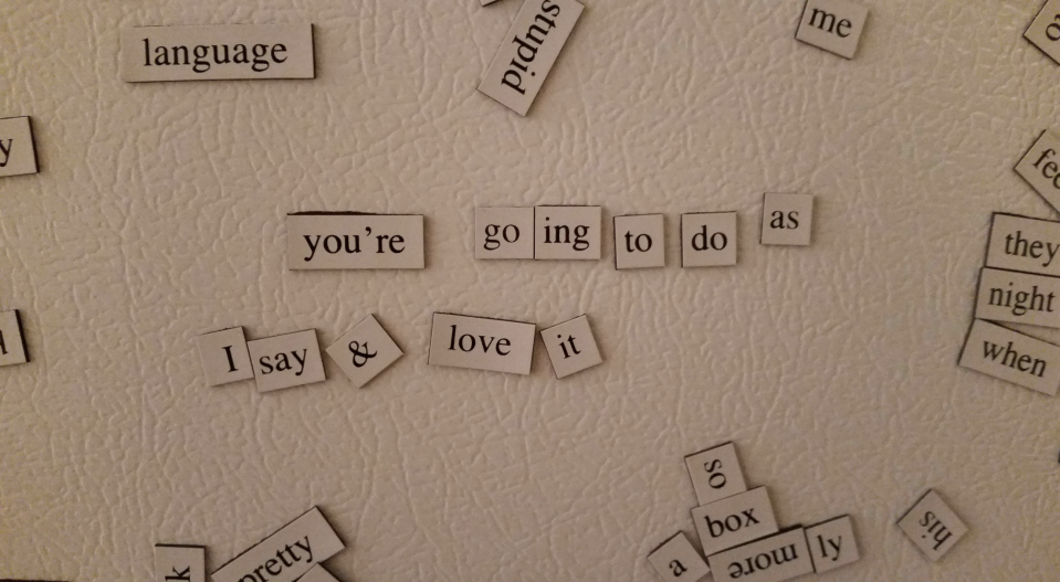 Magnets have been placed on the refrigerator so that they spelled out "you're going to do as I say and love it"