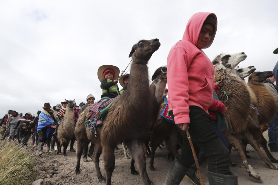 Children arrive with their families for llama races at the Llanganates National Park, Ecuador, Saturday, Feb. 8, 2020. Wooly llamas, an animal emblematic of the Andean mountains in South America, become the star for a day each year when Ecuadoreans dress up their prized animals for children to ride them in 500-meter races. (AP Photo/Dolores Ochoa)