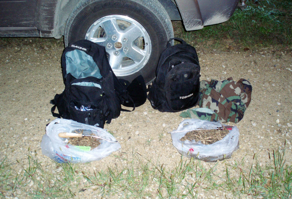 In this Sept. 2011 photo provided by Ed McCann of the Wisconsin Department of Natural Resources shows wild ginseng root, tools used to dig it up, backpacks and camouflage used by two men suspected of illegally harvesting the root on state and private land in La Crosse county. In Wisconsin, the leading U.S. producer of commercially grown ginseng, wildlife officials say violations such as harvesting wild ginseng without a permit or harvesting out of season tripled from 12 in 2007 to 36 last year. (AP Photo/Ed McCann, Wis. DNR)