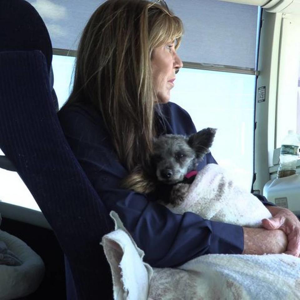 La fundadora y directora ejecutiva de Big Dog Ranch Rescue, Lauree Simmons, con uno de los perros rescatados. Big Dog Ranch Rescue/foto de video