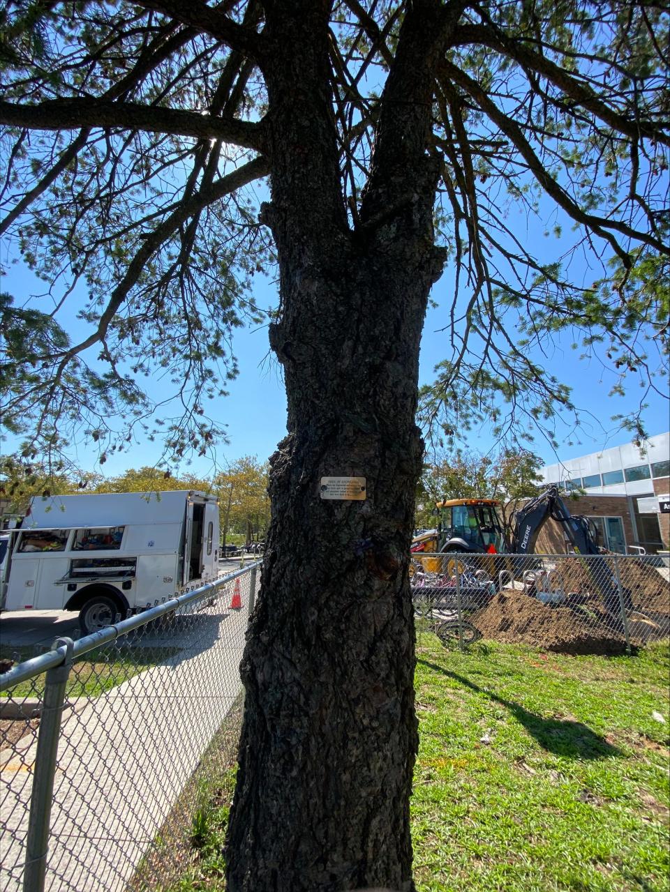 The “Tree of Knowledge” is a tree located in the parking lot of the Asbury Park Police Department headquarters next to the designated parking for the marked police vehicles. This location is known for being a spot where African American officers meet and talk. Someone posted this sign to the tree in August 2023. 
Photo taken Sept. 19, 2023.