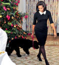 <b>Introducing First Dog Bo, Christmas 2011</b><br><br>Formally dressed in a fitted black dress, Michelle introduced First Dog Bo to the nation.