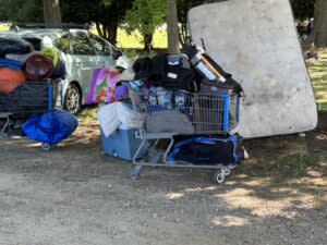 a shopping cart full of belongings