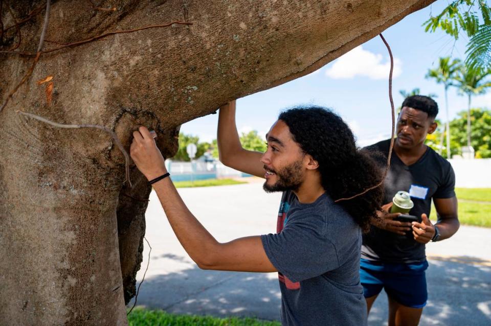 Austin Bozgoz, de 26 (izquierda) y Patrick Barrett, de 35, alumnos de UM, colocan un termómetro debajo de un árbol cerca de la esquina de West 6 Avenue y West 40 Place el 10 de septiembre de 2022, en Hialeah. Bozgoz y Barrett participaron en un evento de ciencia ciudadana, Shading Dade, en que los voluntarios tenían la tarea de colocar sensores en todo Miami-Dade para ayudar a registrar la temperatura. MATIAS J. OCNER mocner@miamiherald.com