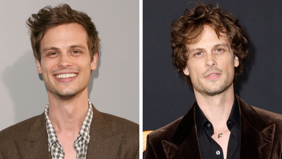 Matthew Gray Gubler in 2011 and 2022