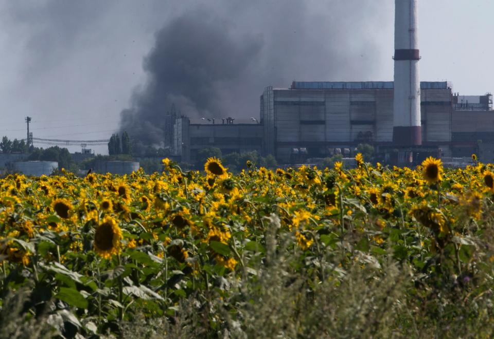 FILE - sunflowers near the city of Lisichansk, Luhansk region, eastern Ukraine, July 26, 2014. Global cooking oil prices have been rising since the COVID-19 pandemic began and Russia's war in Ukraine has sent costs spiraling. It is the latest fallout to the global food supply from the war, with Ukraine and Russia the world's top exporters of sunflower oil. And it's another rising cost pinching households and businesses as inflation soars.