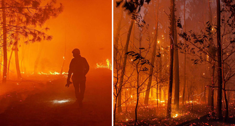 A firefighters in a fire (left) and a burning forest (right)