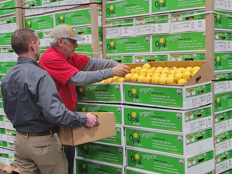 United Family representatives prepare apples to be donated to those in need. More than 5,000 pounds of apples were given to the High Plains Food Bank Wednesday morning.
