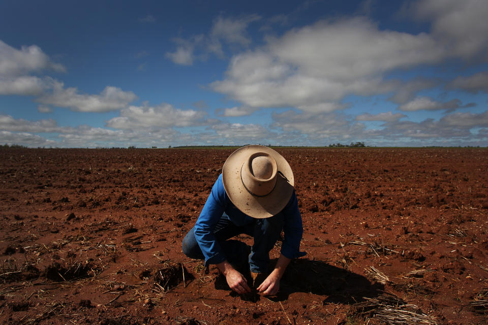 A farmer checks on her planted crop (Source: Getty)