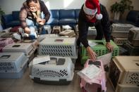 Volunteer Carol Yee (R) checks the documents for 50 dogs from the Front Street Animal Shelter in Sacramento, California, ahead of their flight to a no-kill shelter in Idaho, December 9, 2013. Picture taken December 9, 2013. REUTERS/Max Whittaker (UNITED STATES - Tags: ANIMALS SOCIETY)